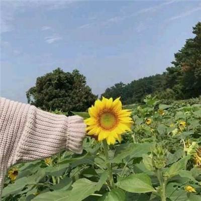龙炎传奇手游破解版下载