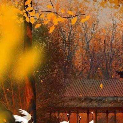 圣戒信条九游版下载