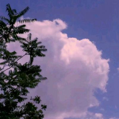 萝莉有杀气内购破解版下载